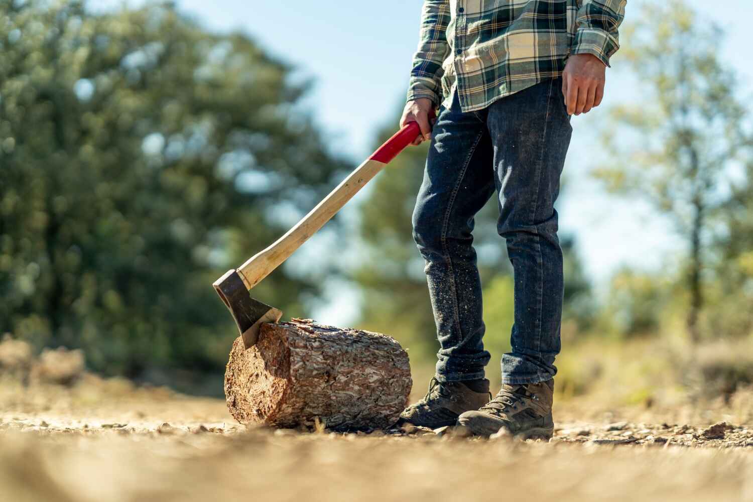 Tree Branch Trimming in Pottsboro, TX